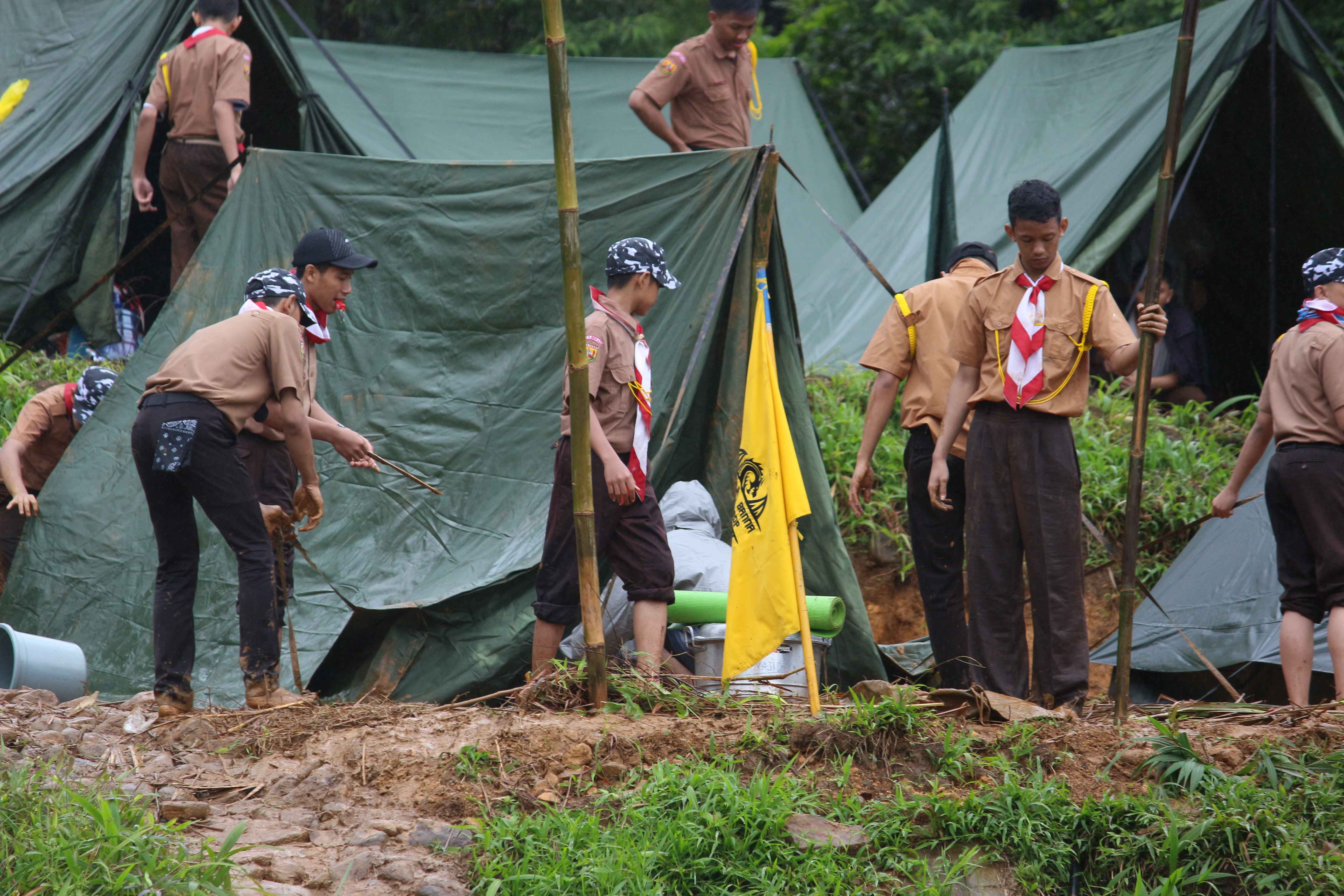 Scout 3
